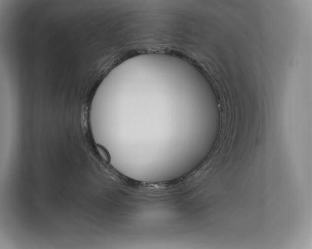 X0000111950768200907271034