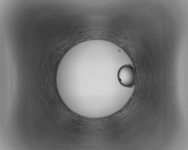 X0000111950769200907271034