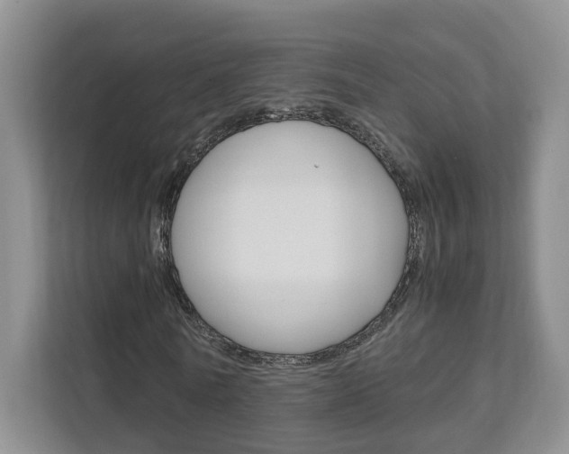 X0000111950770200907271034