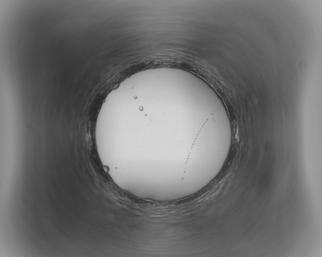X0000111950771200907271034