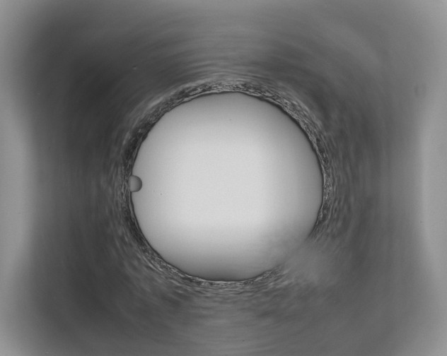 X0000111950773200907271034