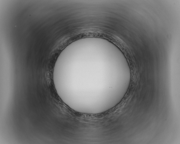 X0000111950774200907271034