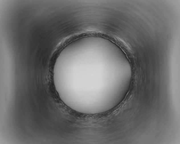 X0000111950776200907271034