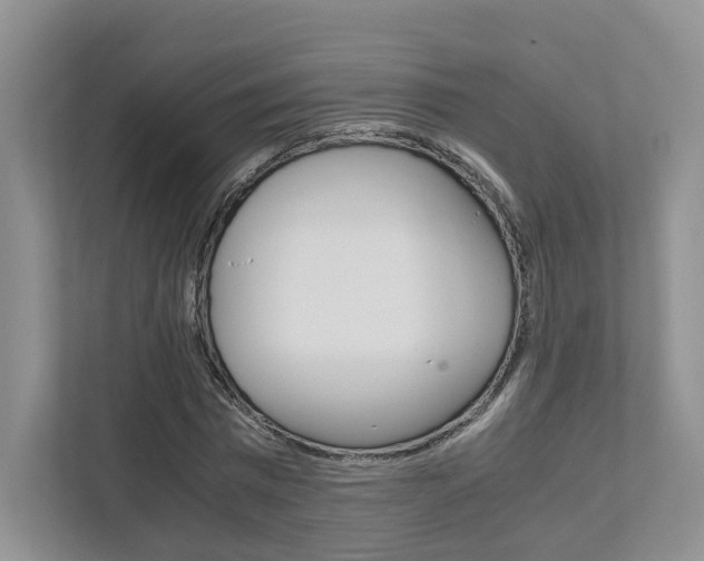 X0000111950777200907271034