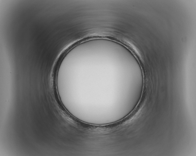 X0000111950779200907271034