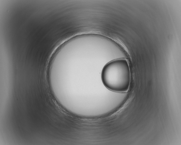X0000111950781200907271034
