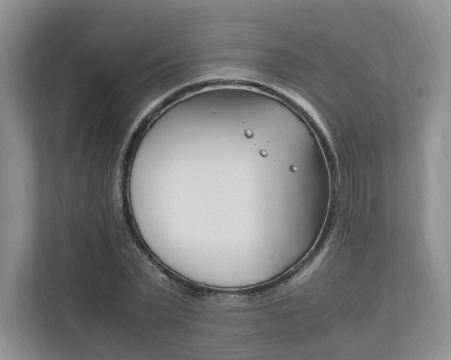 X0000111950783200907271033