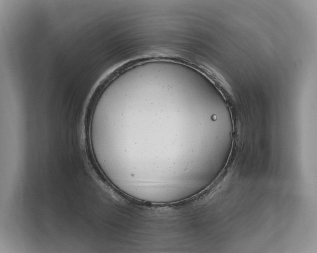 X0000111950784200907271033