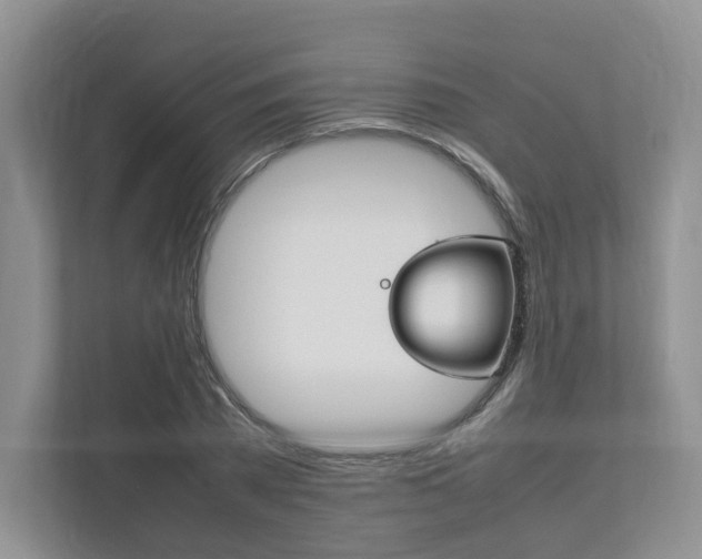X0000111950785200907271033