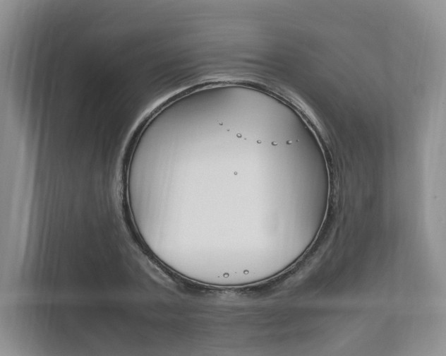 X0000111950787200907271033
