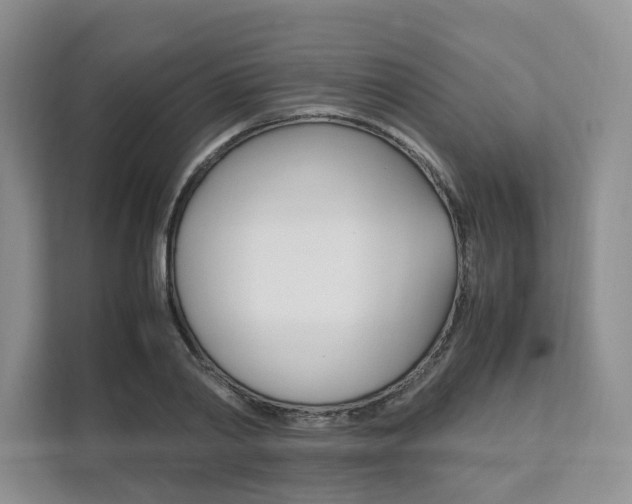 X0000111950790200907271033