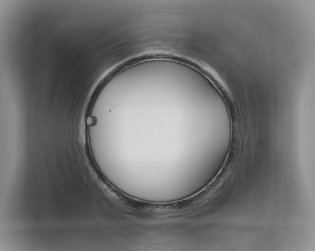 X0000111950791200907271033