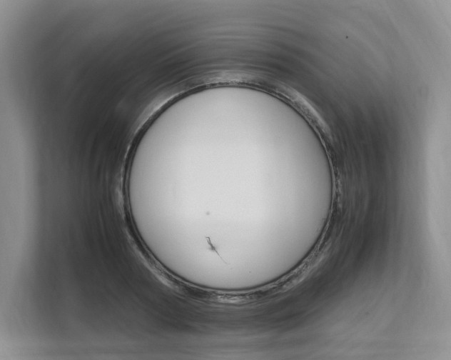 X0000111950794200907271033