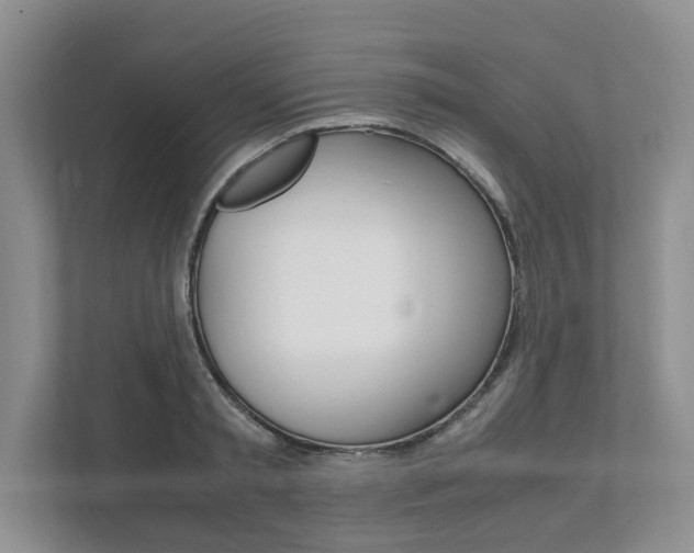 X0000111950797200907271033