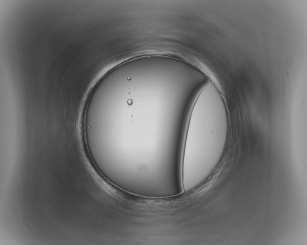 X0000111950803200907271033