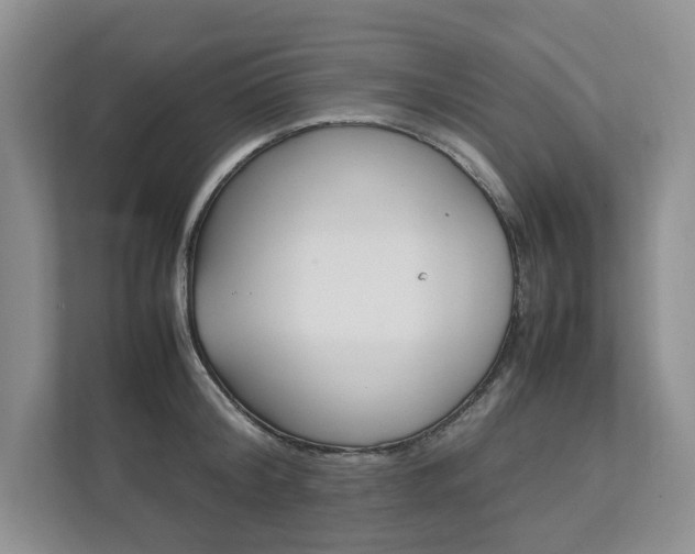 X0000111950804200907271033