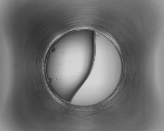 X0000111950805200907271033