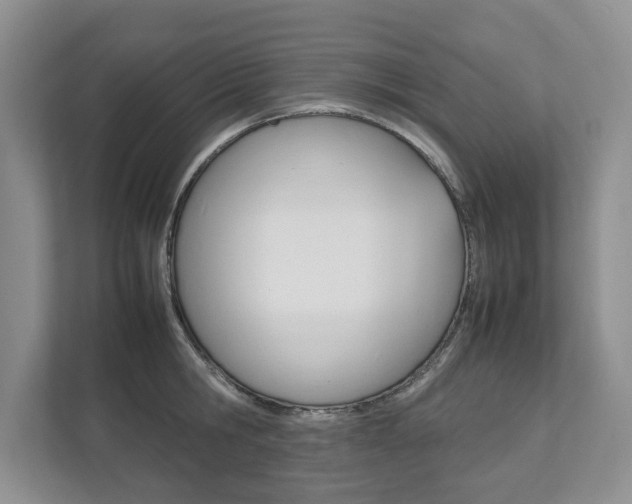 X0000111950806200907271033