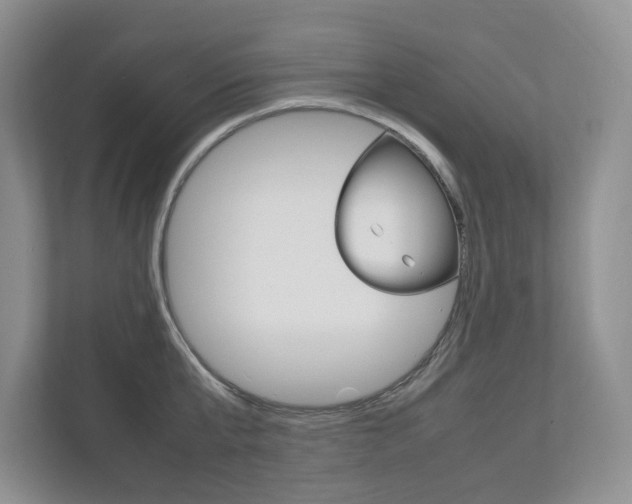 X0000111950807200907271033