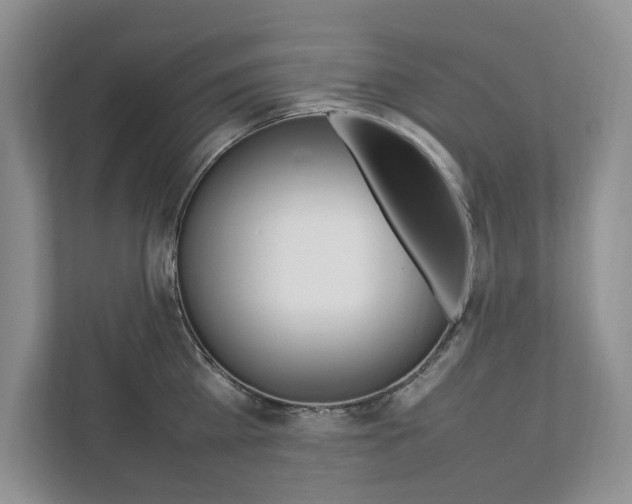 X0000111950809200907271033