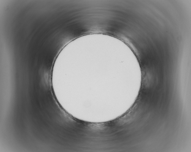 X0000111950810200907271033