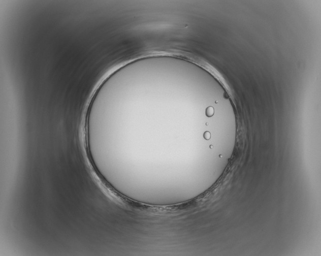 X0000111950811200907271033