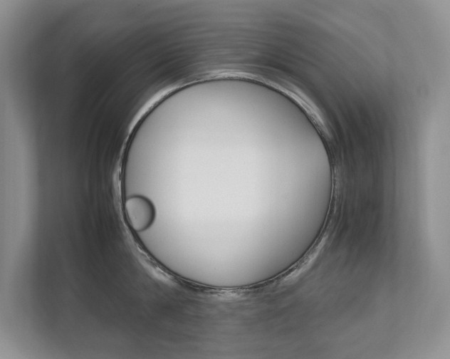 X0000111950814200907271033
