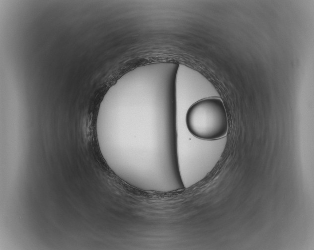 X0000111950818200907271032