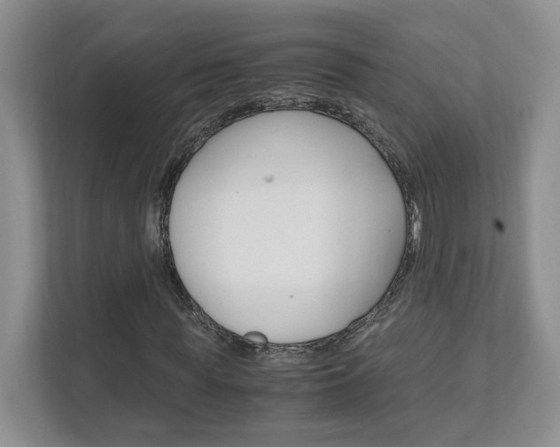 X0000111950819200907271032