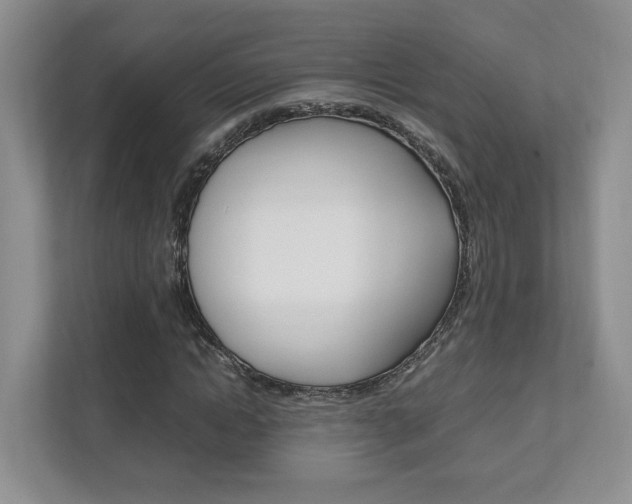 X0000111950822200907271032