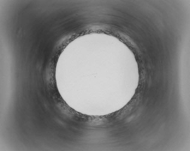 X0000111950824200907271033