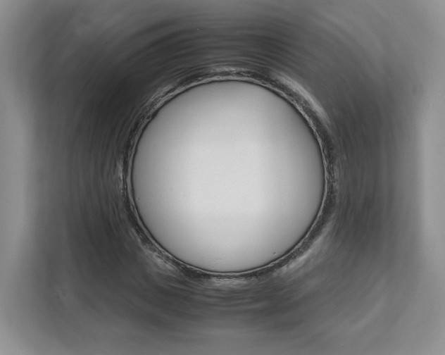 X0000111950825200907271033