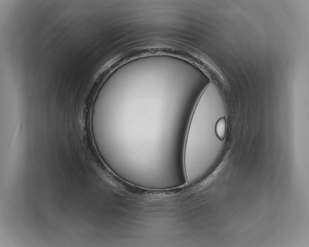 X0000111950826200907271033