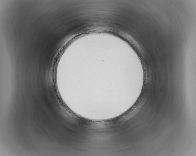 X0000111950828200907271033