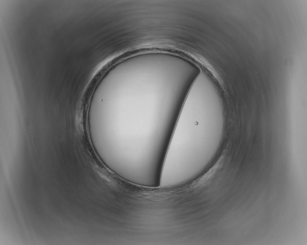 X0000111950830200907271033
