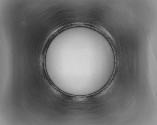 X0000111950831200907271033