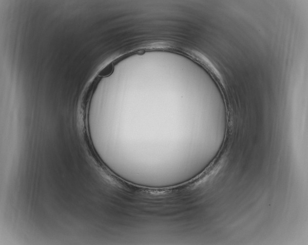 X0000111950835200907271033