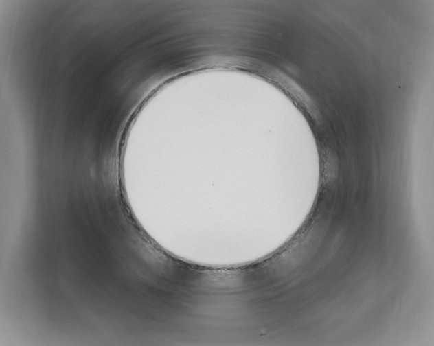 X0000111950836200907271033