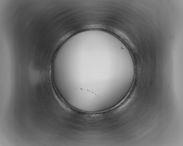 X0000111950841200907271033