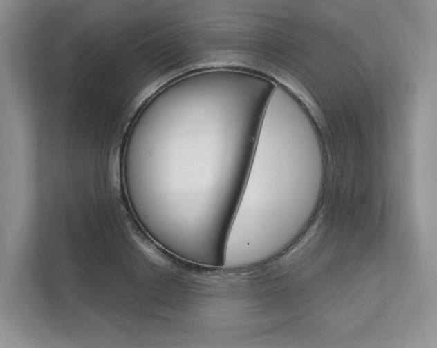 X0000111950842200907271033