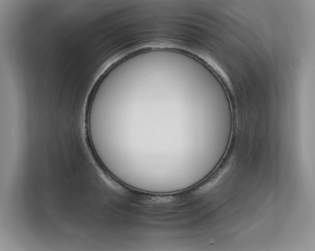 X0000111950845200907271033