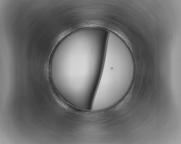 X0000111950850200907271033