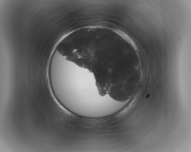 X0000111950855200907271033