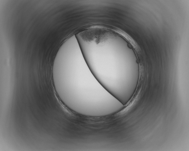 X0000111950857200907271033
