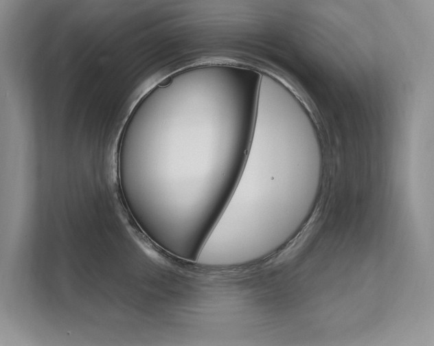 X0000111950858200907271033