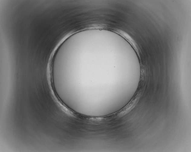 X0000111950859200907271033