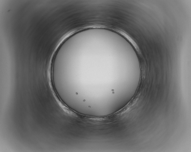X0000111950861200907271033