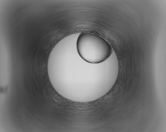 X0000111950868200907271032