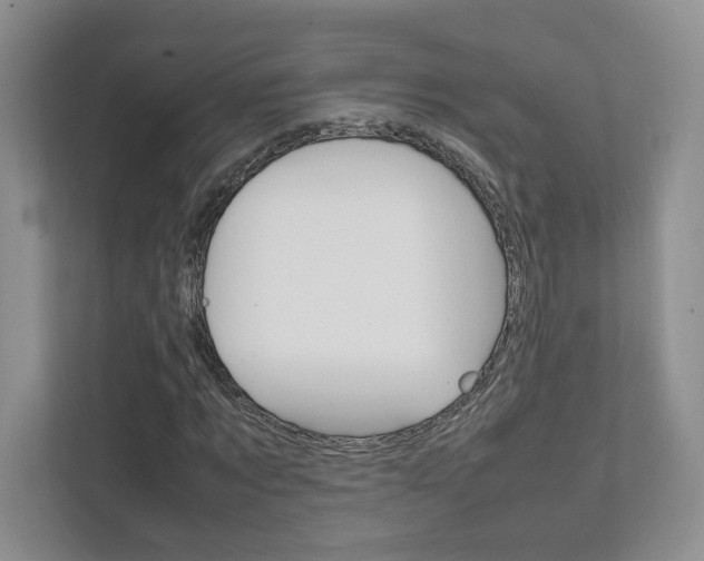 X0000111950869200907271032