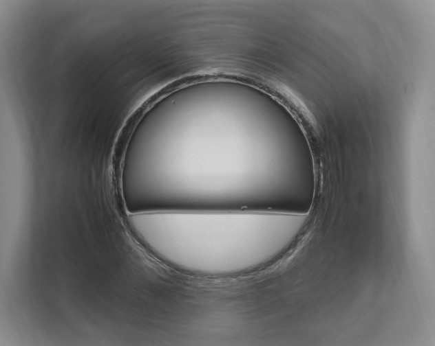 X0000111950876200907271032
